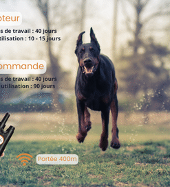 télecommande doberman portée